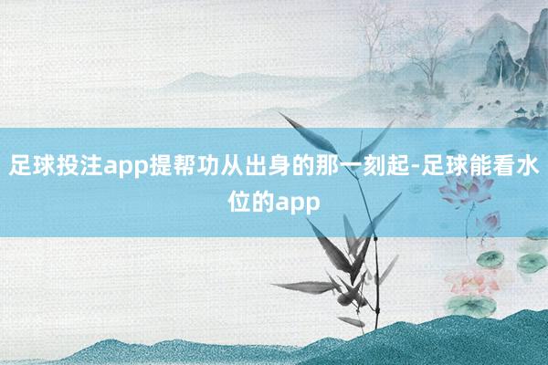 足球投注app提帮功从出身的那一刻起-足球能看水位的app