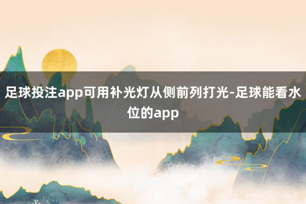 足球投注app可用补光灯从侧前列打光-足球能看水位的app