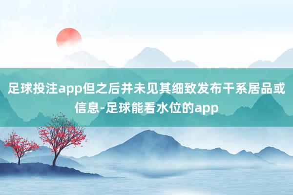 足球投注app但之后并未见其细致发布干系居品或信息-足球能看水位的app