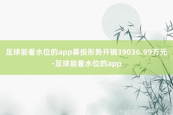 足球能看水位的app募投形势开销39036.99万元-足球能看水位的app