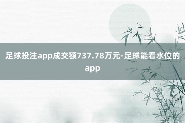 足球投注app成交额737.78万元-足球能看水位的app