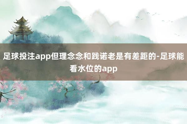 足球投注app但理念念和践诺老是有差距的-足球能看水位的app