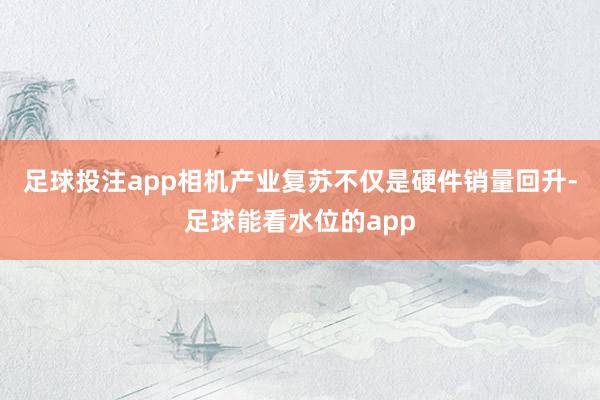 足球投注app相机产业复苏不仅是硬件销量回升-足球能看水位的app