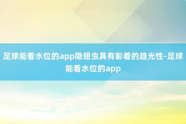 足球能看水位的app隐翅虫具有彰着的趋光性-足球能看水位的app