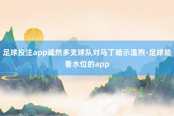 足球投注app诚然多支球队对马丁暗示温煦-足球能看水位的app