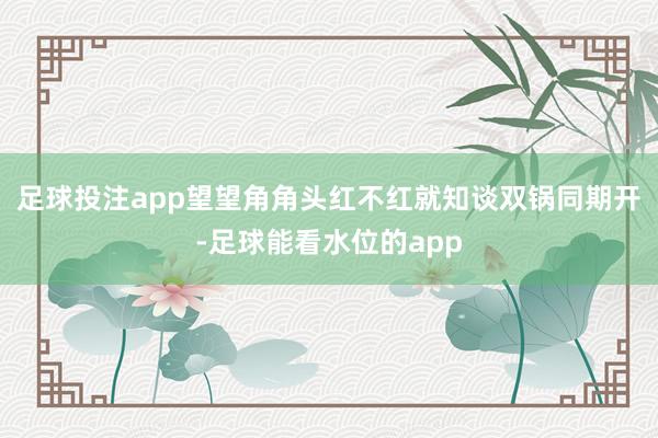 足球投注app望望角角头红不红就知谈双锅同期开-足球能看水位的app
