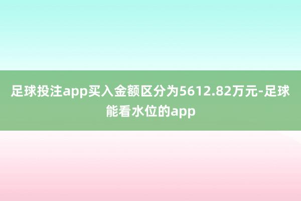 足球投注app买入金额区分为5612.82万元-足球能看水位的app