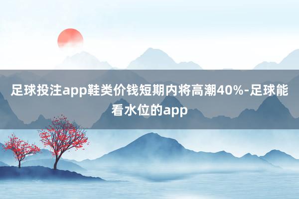 足球投注app鞋类价钱短期内将高潮40%-足球能看水位的app