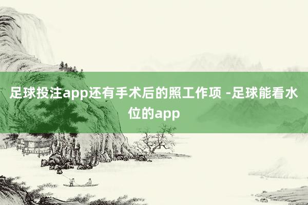 足球投注app还有手术后的照工作项 -足球能看水位的app