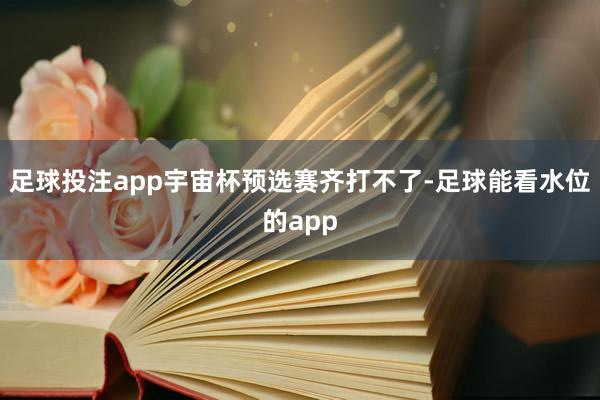足球投注app宇宙杯预选赛齐打不了-足球能看水位的app