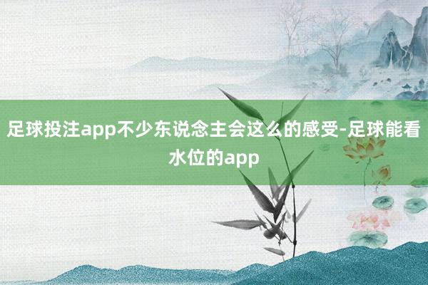 足球投注app不少东说念主会这么的感受-足球能看水位的app