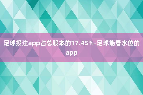 足球投注app占总股本的17.45%-足球能看水位的app