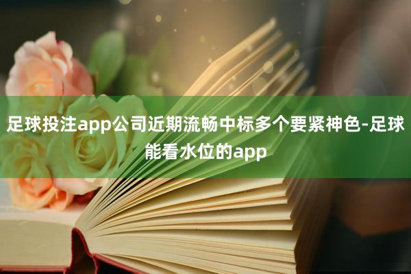足球投注app公司近期流畅中标多个要紧神色-足球能看水位的app
