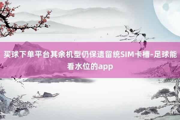 买球下单平台其余机型仍保遗留统SIM卡槽-足球能看水位的app