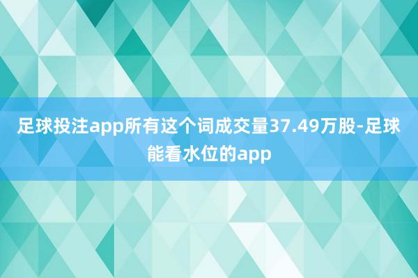 足球投注app所有这个词成交量37.49万股-足球能看水位的app
