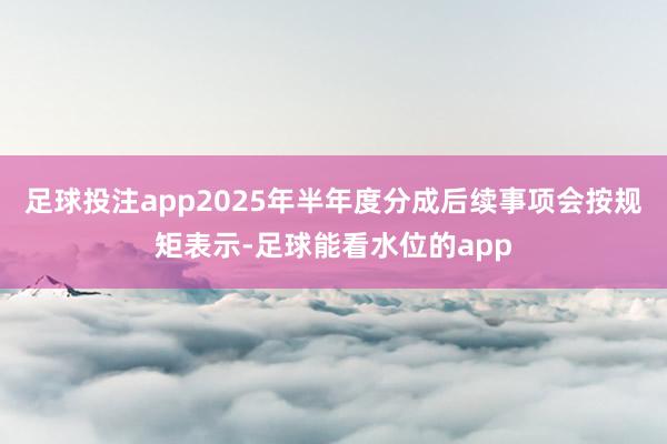 足球投注app2025年半年度分成后续事项会按规矩表示-足球能看水位的app