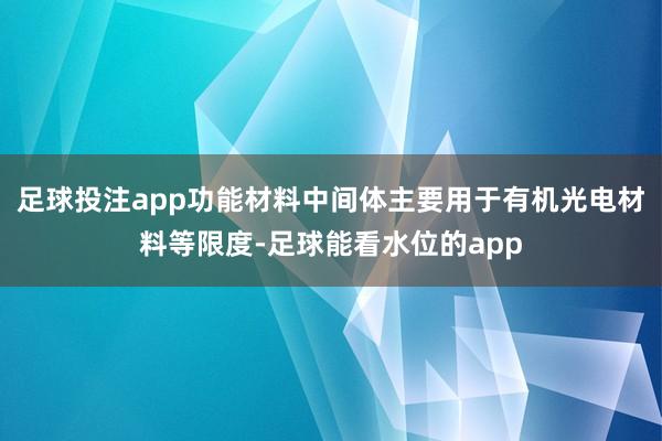 足球投注app功能材料中间体主要用于有机光电材料等限度-足球能看水位的app