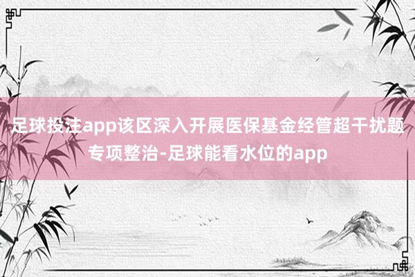足球投注app该区深入开展医保基金经管超干扰题专项整治-足球能看水位的app