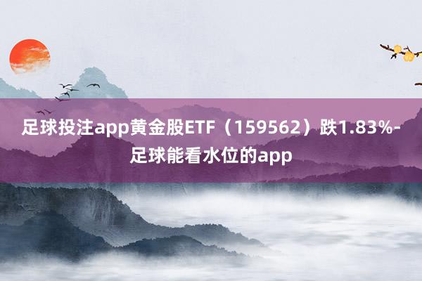 足球投注app黄金股ETF（159562）跌1.83%-足球能看水位的app