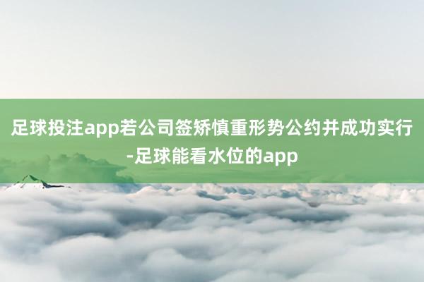 足球投注app若公司签矫慎重形势公约并成功实行-足球能看水位的app