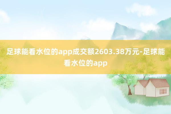 足球能看水位的app成交额2603.38万元-足球能看水位的app