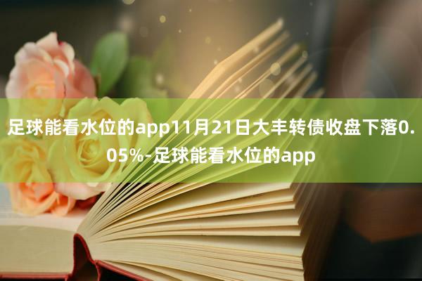 足球能看水位的app11月21日大丰转债收盘下落0.05%-足球能看水位的app