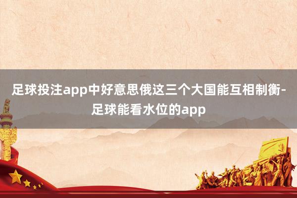 足球投注app中好意思俄这三个大国能互相制衡-足球能看水位的app