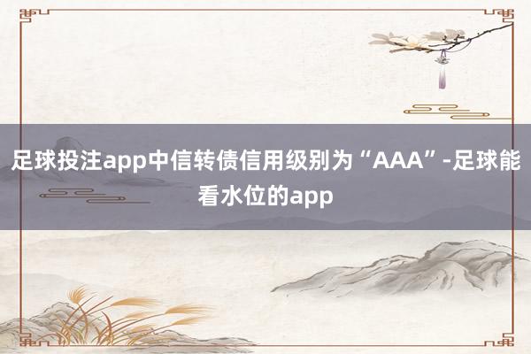 足球投注app中信转债信用级别为“AAA”-足球能看水位的app