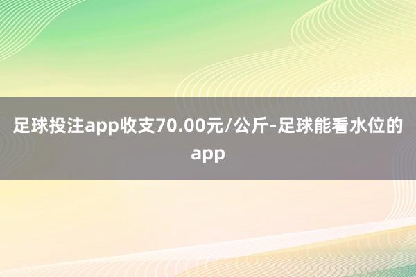 足球投注app收支70.00元/公斤-足球能看水位的app
