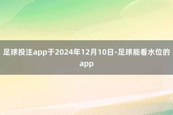 足球投注app于2024年12月10日-足球能看水位的app