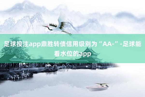 足球投注app鼎胜转债信用级别为“AA-”-足球能看水位的app