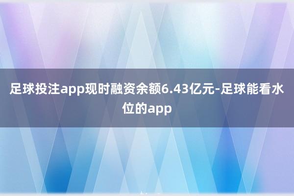 足球投注app现时融资余额6.43亿元-足球能看水位的app