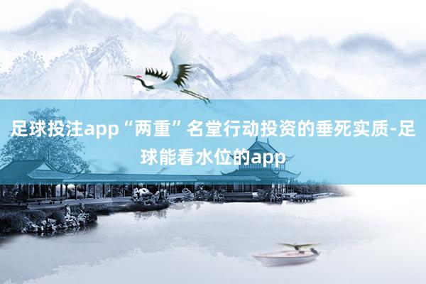 足球投注app“两重”名堂行动投资的垂死实质-足球能看水位的app