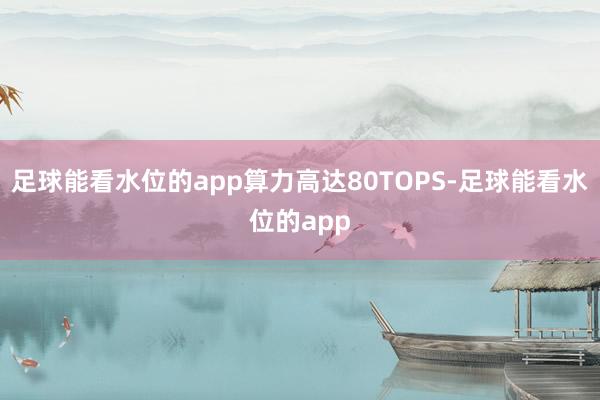 足球能看水位的app算力高达80TOPS-足球能看水位的app