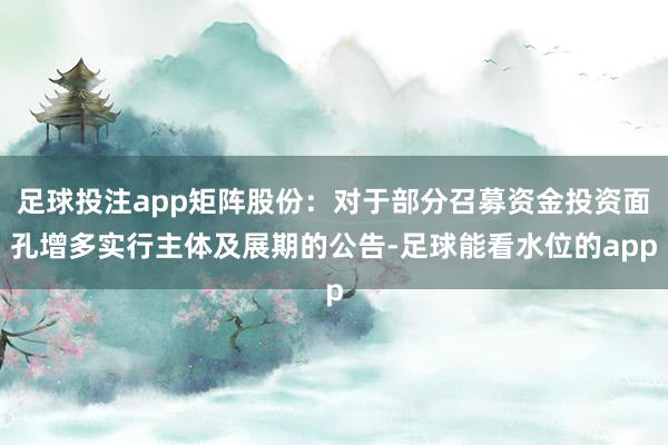 足球投注app矩阵股份：对于部分召募资金投资面孔增多实行主体及展期的公告-足球能看水位的app