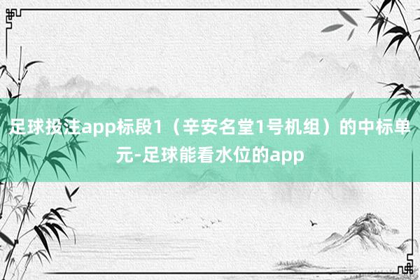足球投注app标段1（辛安名堂1号机组）的中标单元-足球能看水位的app