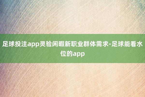 足球投注app灵验闲暇新职业群体需求-足球能看水位的app