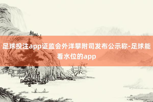 足球投注app证监会外洋攀附司发布公示称-足球能看水位的app