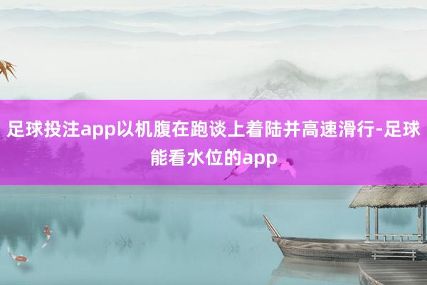 足球投注app以机腹在跑谈上着陆并高速滑行-足球能看水位的app