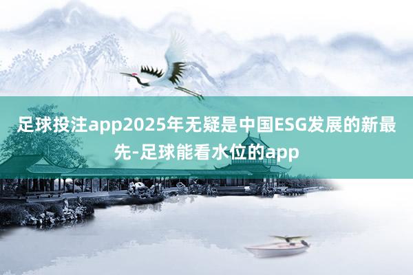 足球投注app2025年无疑是中国ESG发展的新最先-足球能看水位的app