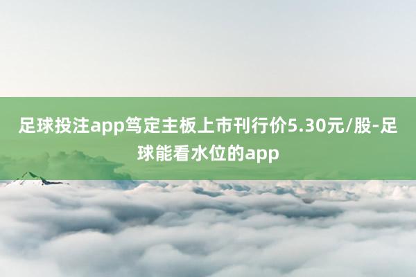 足球投注app笃定主板上市刊行价5.30元/股-足球能看水位的app