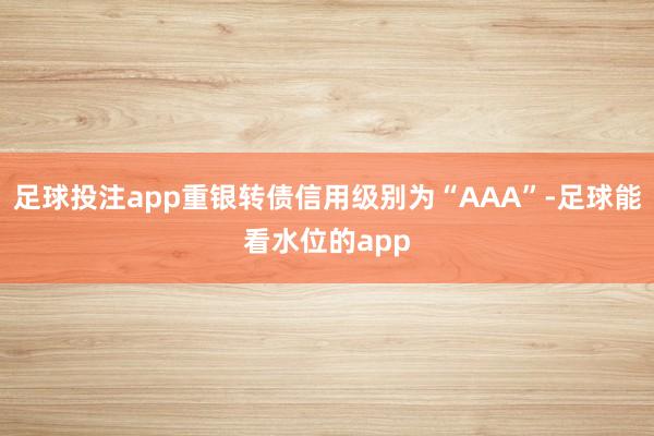 足球投注app重银转债信用级别为“AAA”-足球能看水位的app