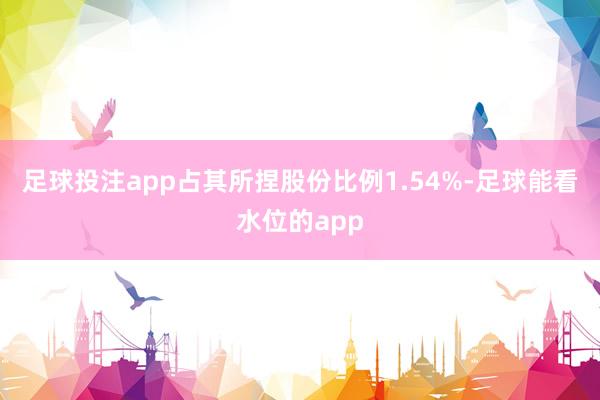 足球投注app占其所捏股份比例1.54%-足球能看水位的app