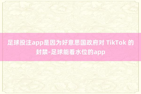 足球投注app是因为好意思国政府对 TikTok 的封禁-足球能看水位的app