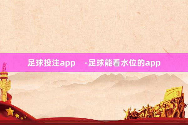 足球投注app    -足球能看水位的app