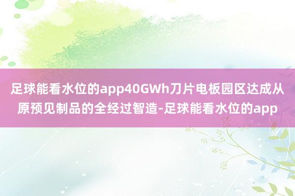 足球能看水位的app40GWh刀片电板园区达成从原预见制品的全经过智造-足球能看水位的app