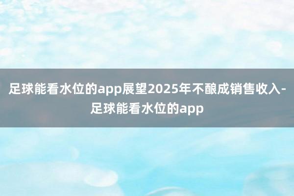足球能看水位的app展望2025年不酿成销售收入-足球能看水位的app