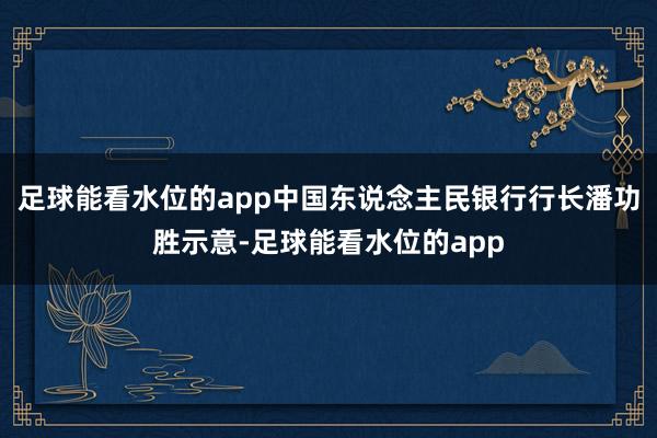 足球能看水位的app中国东说念主民银行行长潘功胜示意-足球能看水位的app