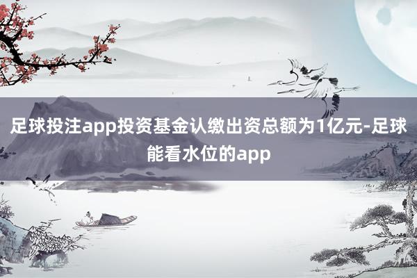 足球投注app投资基金认缴出资总额为1亿元-足球能看水位的app