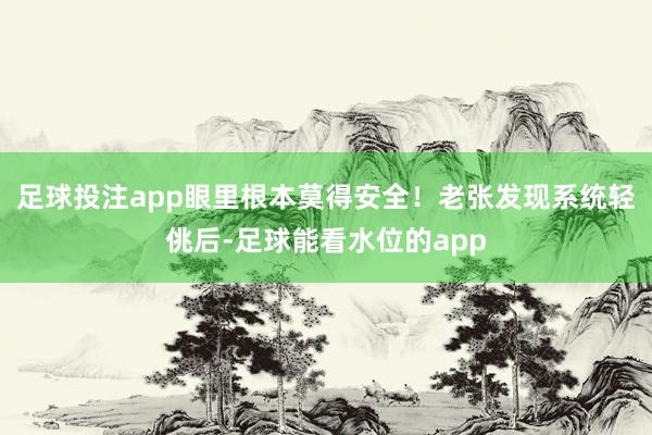 足球投注app眼里根本莫得安全！老张发现系统轻佻后-足球能看水位的app